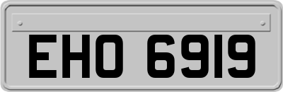 EHO6919