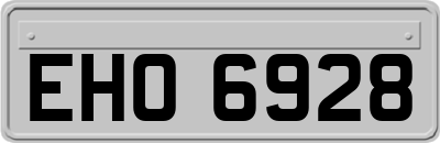 EHO6928