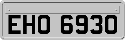 EHO6930