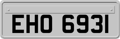 EHO6931