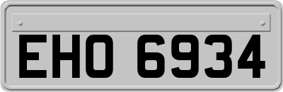 EHO6934