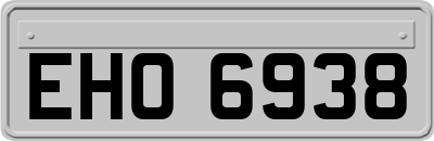 EHO6938