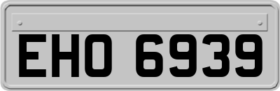 EHO6939