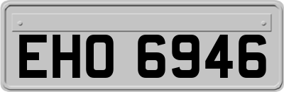 EHO6946