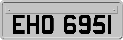 EHO6951