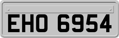 EHO6954