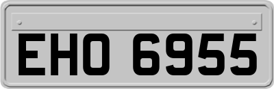 EHO6955