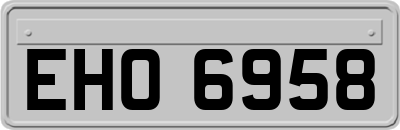 EHO6958