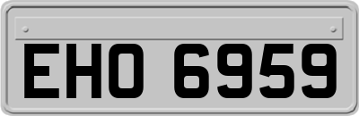 EHO6959