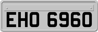 EHO6960