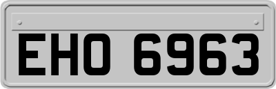 EHO6963