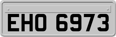 EHO6973