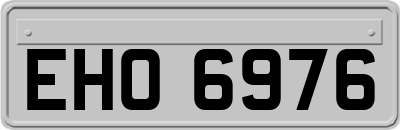EHO6976