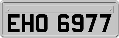 EHO6977