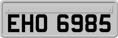 EHO6985