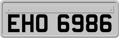 EHO6986