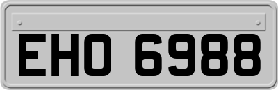 EHO6988