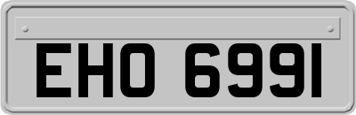 EHO6991