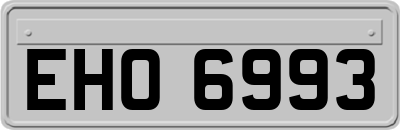 EHO6993
