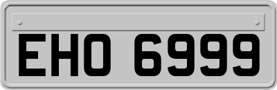 EHO6999