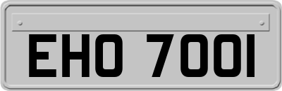 EHO7001