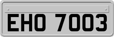 EHO7003