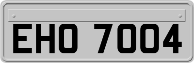 EHO7004