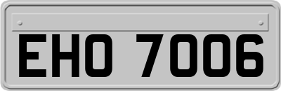 EHO7006