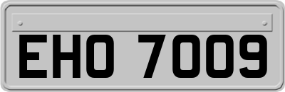 EHO7009