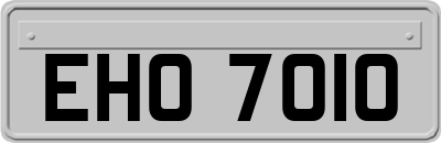 EHO7010