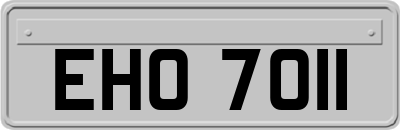 EHO7011