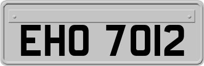 EHO7012