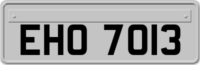 EHO7013
