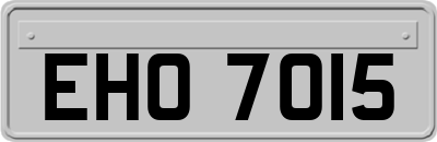 EHO7015