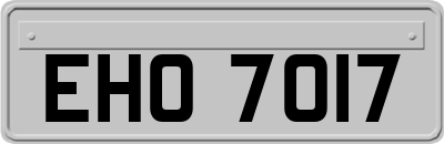EHO7017