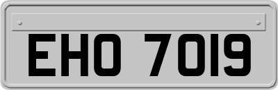 EHO7019