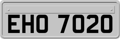 EHO7020