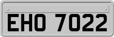 EHO7022