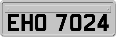 EHO7024