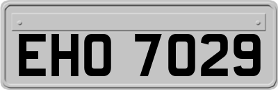 EHO7029