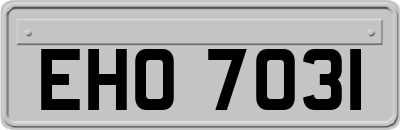EHO7031