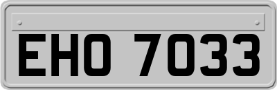 EHO7033