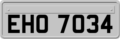 EHO7034