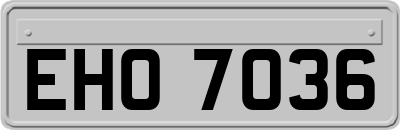 EHO7036