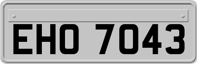 EHO7043