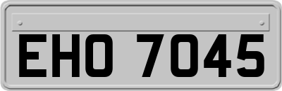 EHO7045