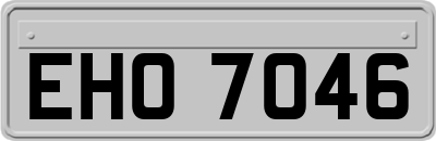 EHO7046