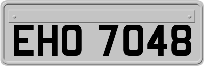 EHO7048