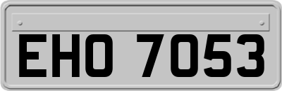 EHO7053