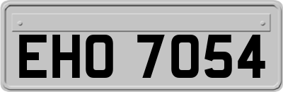 EHO7054